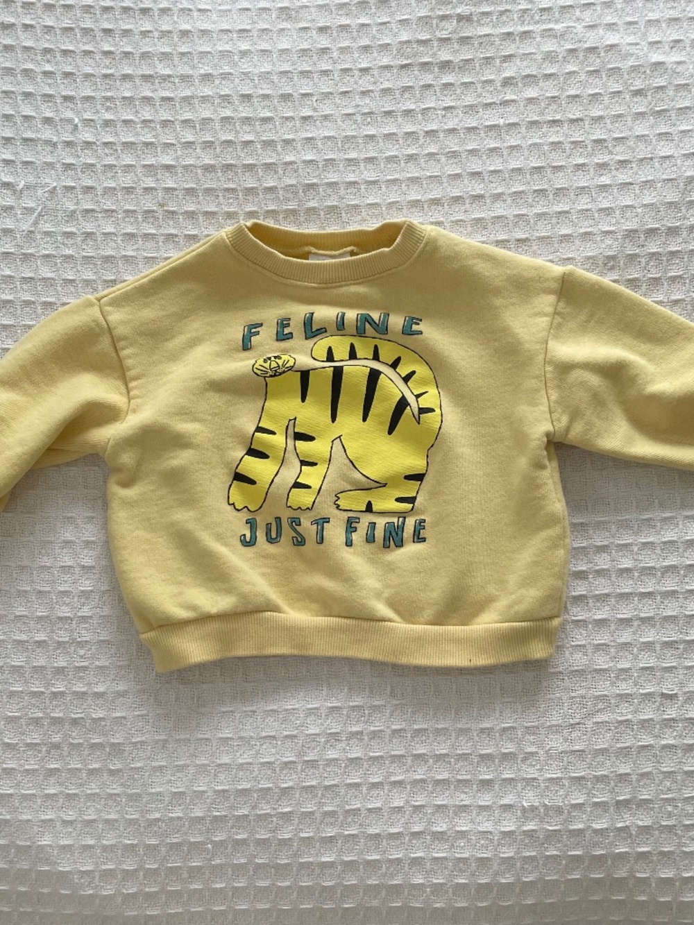 Zara "Feline Just Fine" Yellow Crewneck - Size 18M 86cm